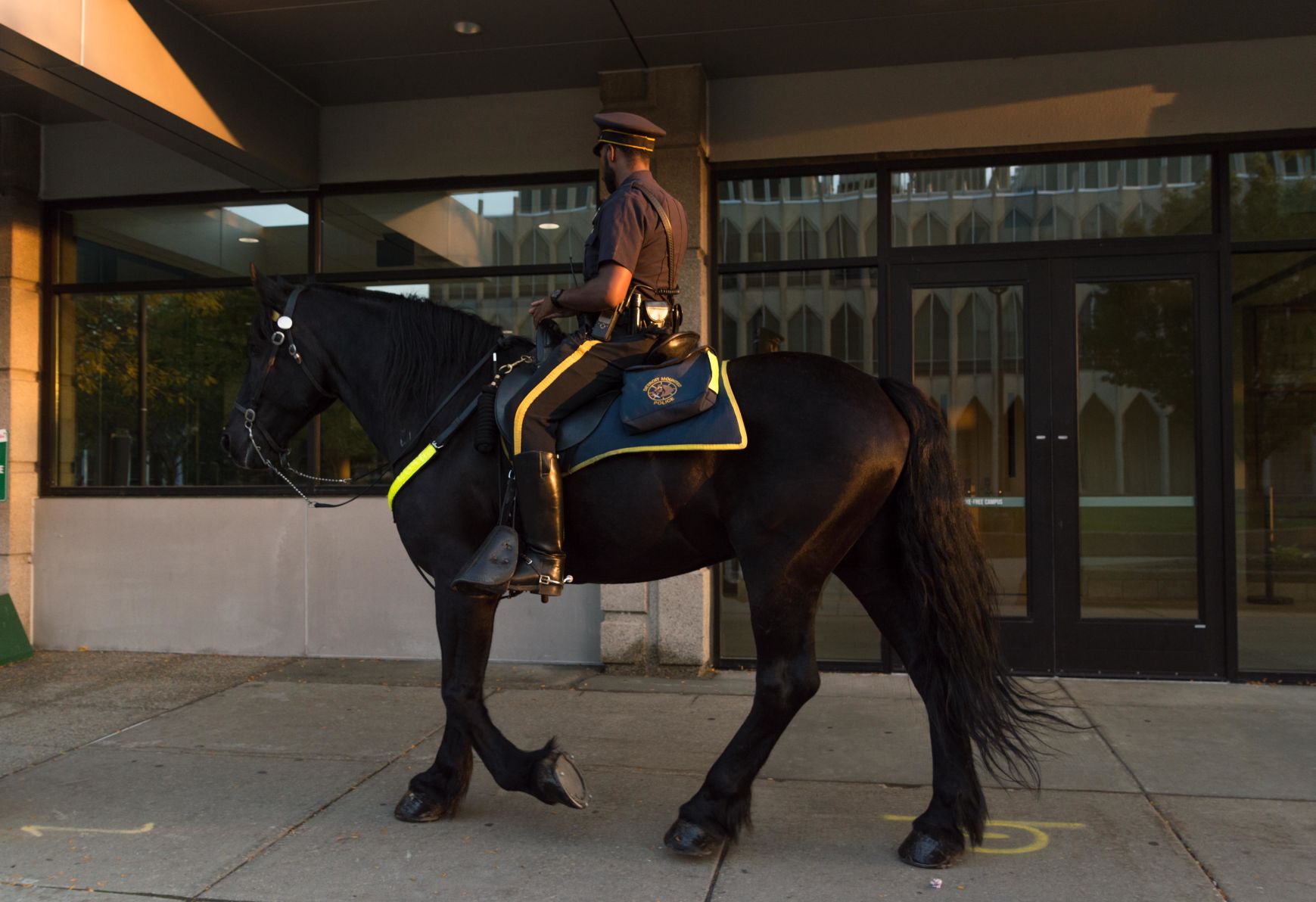 horse cop 1